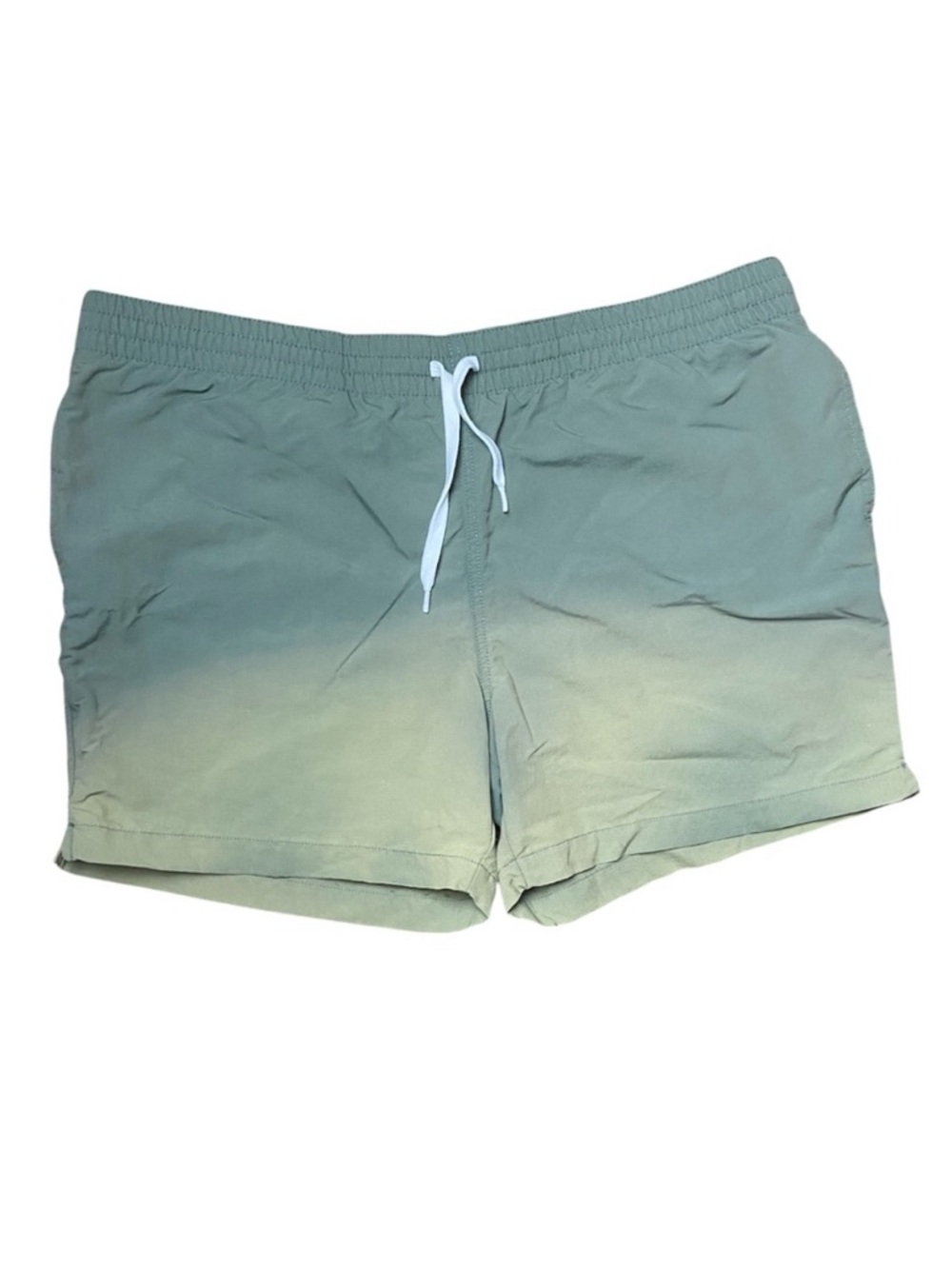 Chubbies Shorts Mens Medium Green Ombré Outdoor Beach Swim Trunks 4.5 Inseam